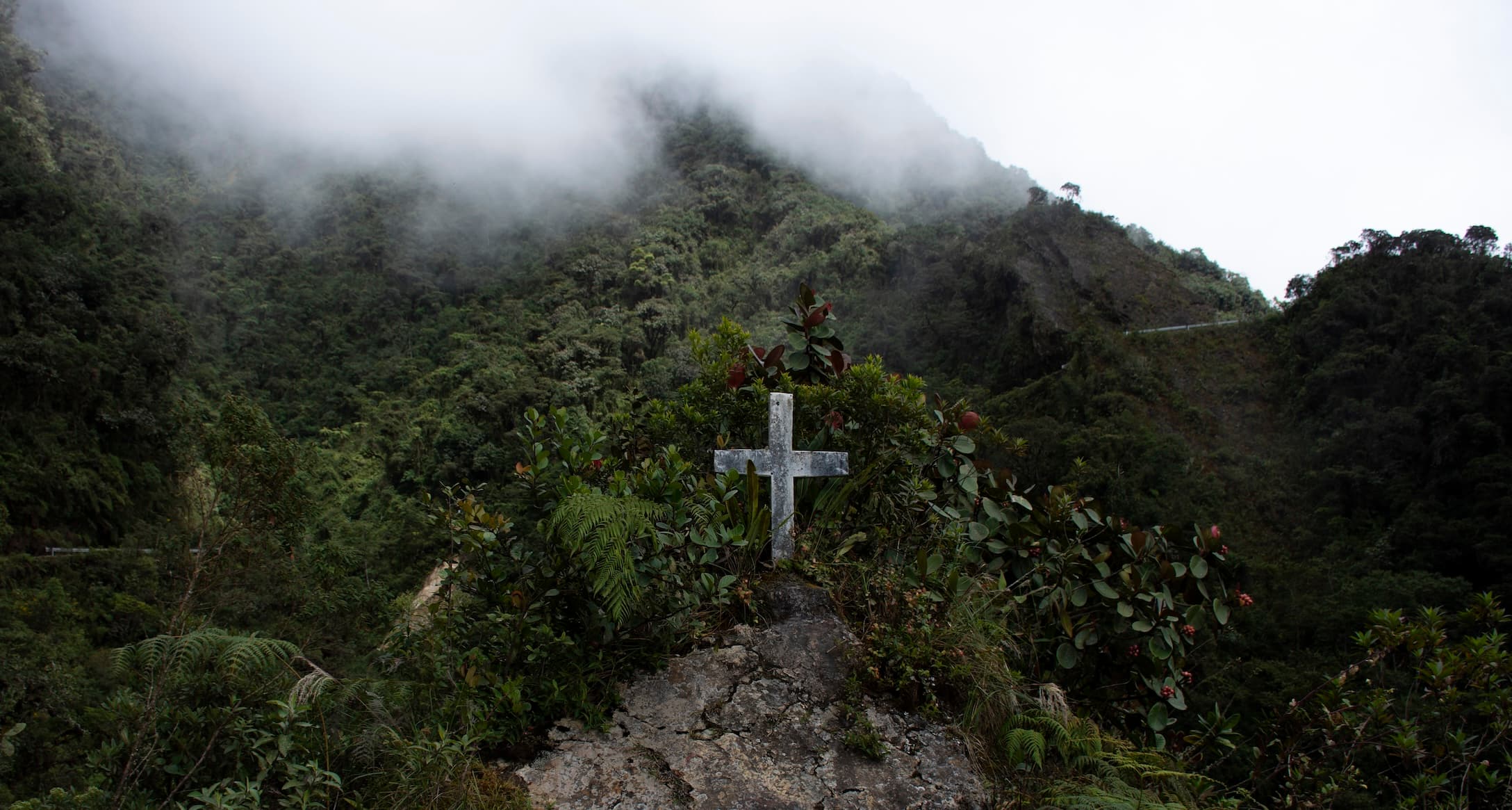 Camino de la Muerte, Coroico, Bolivia - 2017