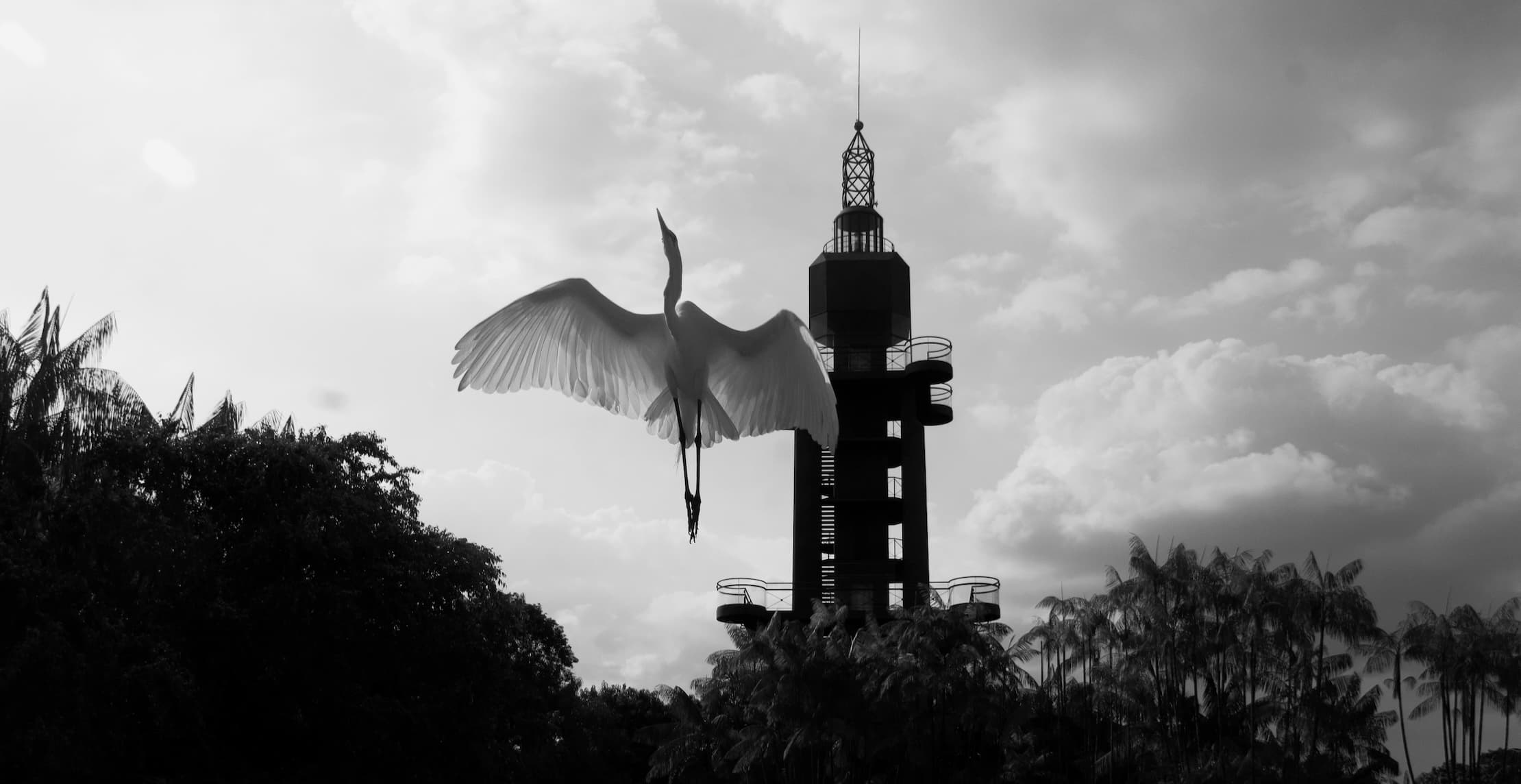 Belem de Pará, Amazonía brasilera, 2023